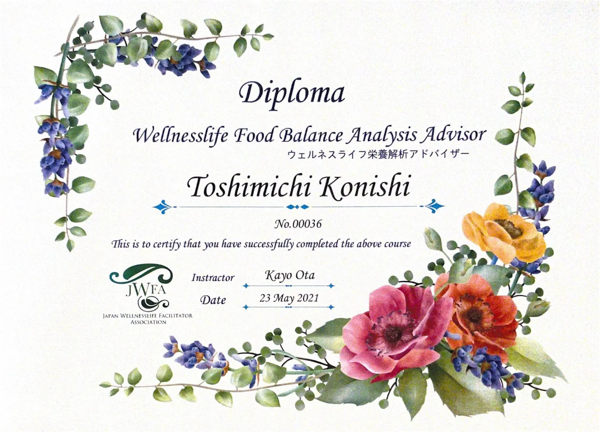 ウェルネスライフ栄養解析アドバイザー